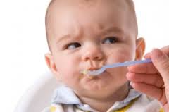 what to feed toddler after vomiting bland foods